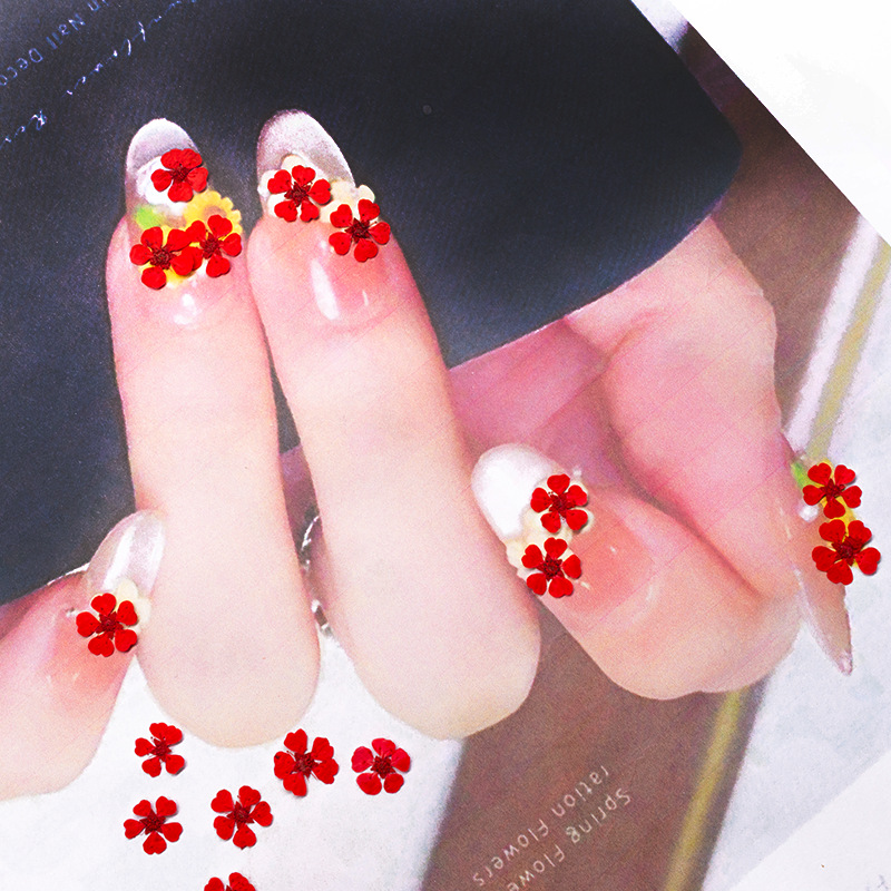 96 Buah Bunga Mini 1.5Cm Alami - Resin Art Baby ulasan dan harga