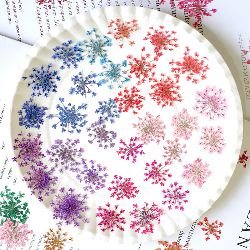 24pcs, 2-2.5cm, Kelopak Bunga  - Resin Art Baby ulasan dan harga